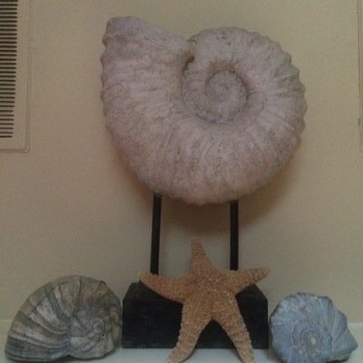 kkunert1102's profile picture. 