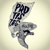 Protista (@protistas) 's Twitter Profile