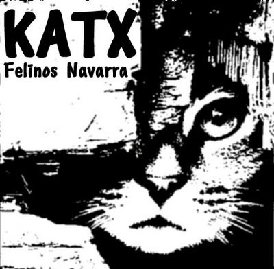 Hasta el más pequeño gato es una obra maestra. Para adoptar, escríbenos: adoptarkatx@gmail.com