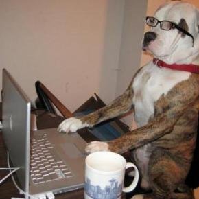 The peoples tweeter