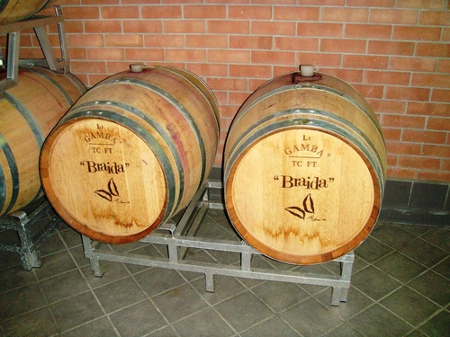 aisuma's profile picture. 