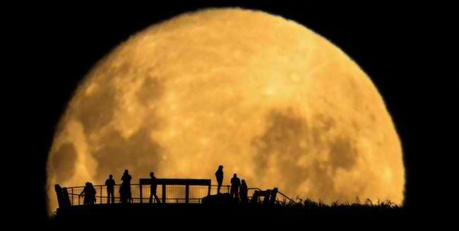 GregMurphree's profile picture. basic country guy, have a menial job that pays the bills ,love si-fi/horror  favor hard rock music, but like all kinds.