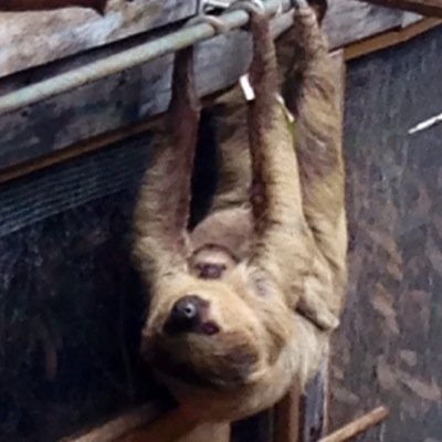 xxxxjellyxxxx's profile picture. 