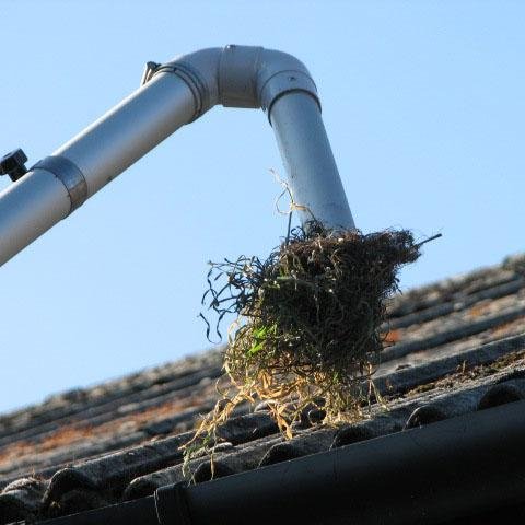 Gutter cleaning service