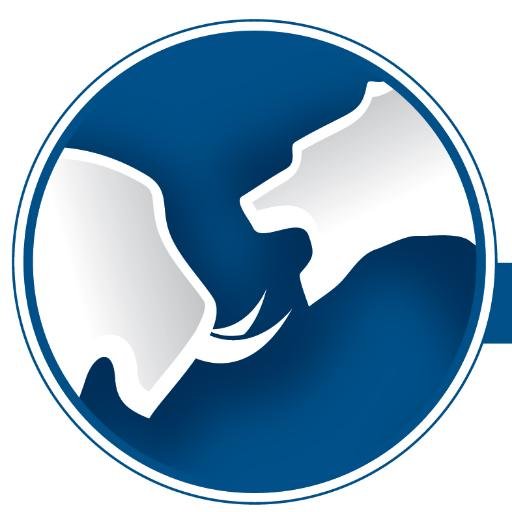 Specializing in Equity & Options Trading & ​Training:  focus on technical analysis, day trading, weekly income generating option trades & portfolio hedging