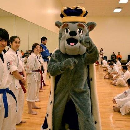 We're JMU's Tae Kwon Do Club! Learn valuable skills to protect your self in any situation! #JMU #Ninjas #LearnToFight