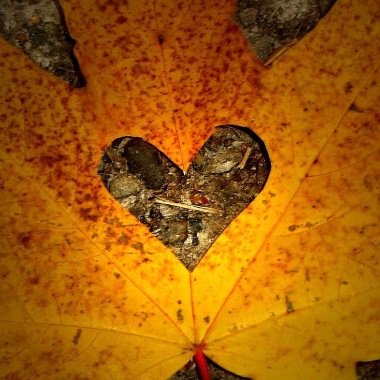 dartgates1969's profile picture. 