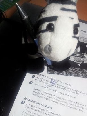 92º // Amante del motor // Detallista en potencia // Sin un duro a jornada completa // Sonrisa siempre puesta, preguntar por excepciones
