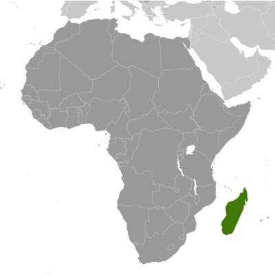 Welcome to Silicon Island: Madagascar's tech startup hub. #SiliconIsland @harinjaka @hdleague @HabakaMG @CoderDojo_MG @DreamCampMG @SiliconIslandVC