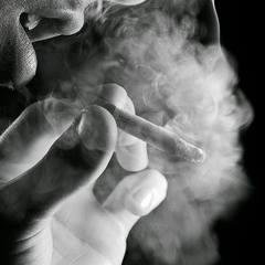 mammadZyGo's profile picture. 