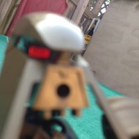 C (@madgoldtop) 's Twitter Profile