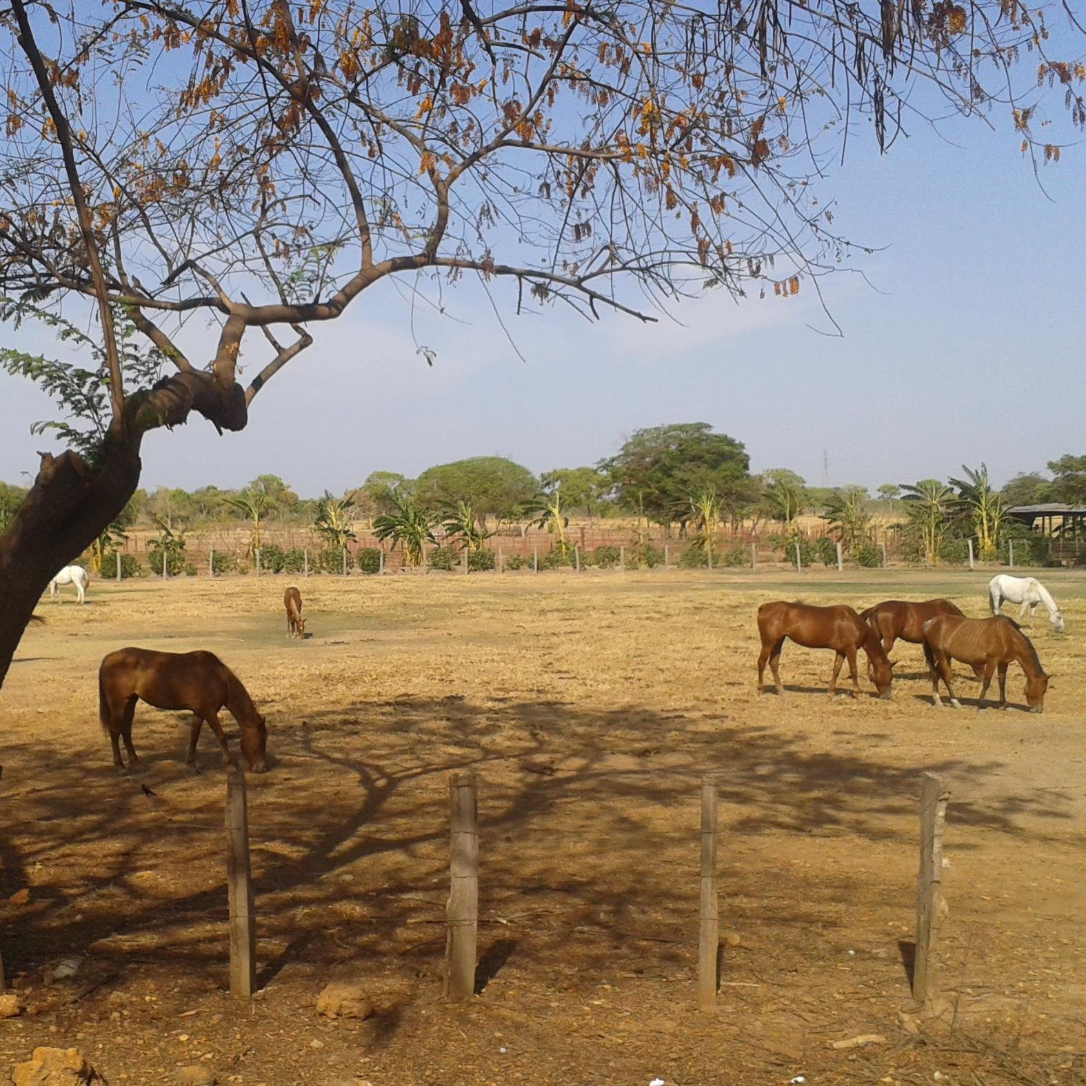 jose051170's profile picture. 