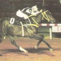 trabilla's profile picture. la imagen es lo que la gente piensa que somos.laintegridad es lo que realmente somos..,la familia es primero.amante del hipismo sano,caraquista .