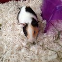 Kay Rucker - @KayRucker - Twitter