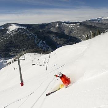 CallMeLeoo's profile picture. Livin it up