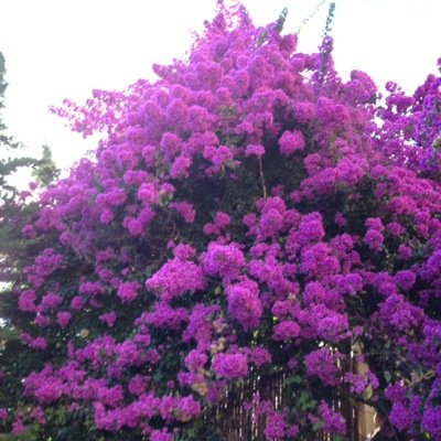 valeriavalinoti's profile picture. Travel, tourism & social media enthusiast. Digital marketing.