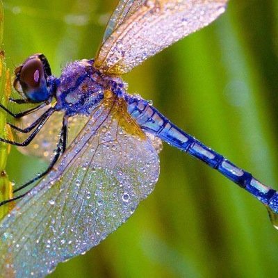 fhCanoO's profile picture. 