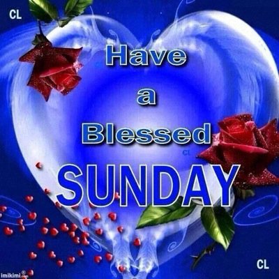 gordon_shaneika's profile picture. 