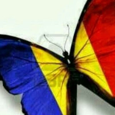 abakr12's profile picture. 