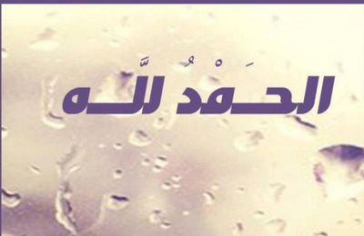 خادم أهل البيت ( عليهم السﻻم )