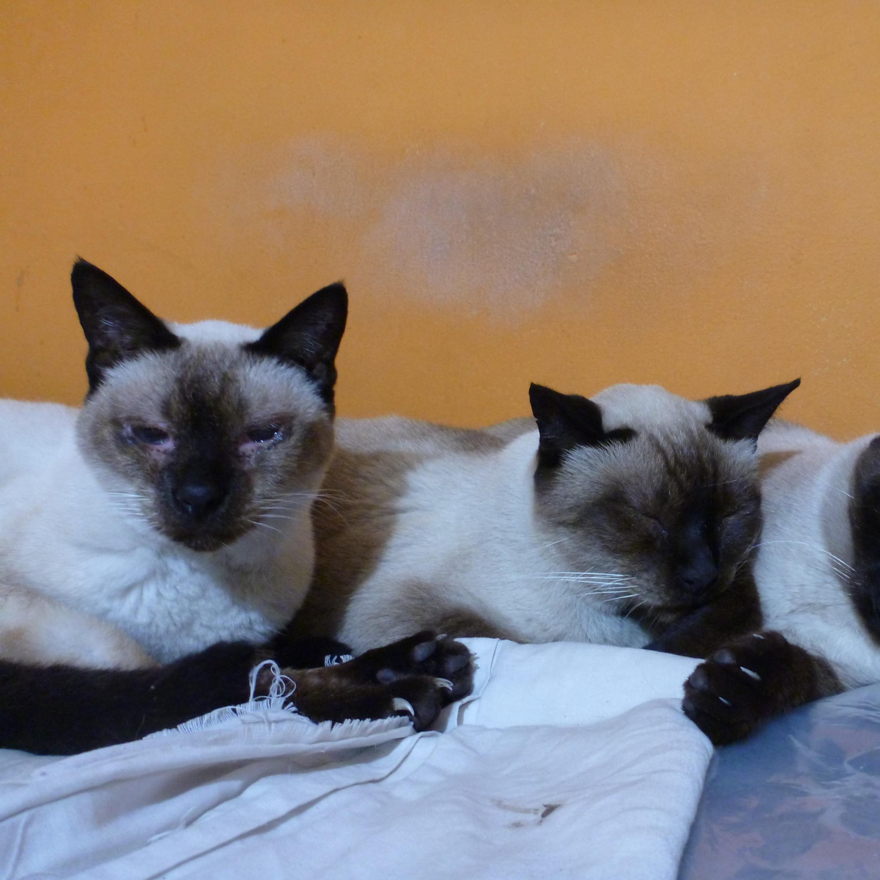 318428's profile picture. 