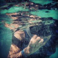 Sharon Estefan (@sharonestefan) 's Twitter Profile