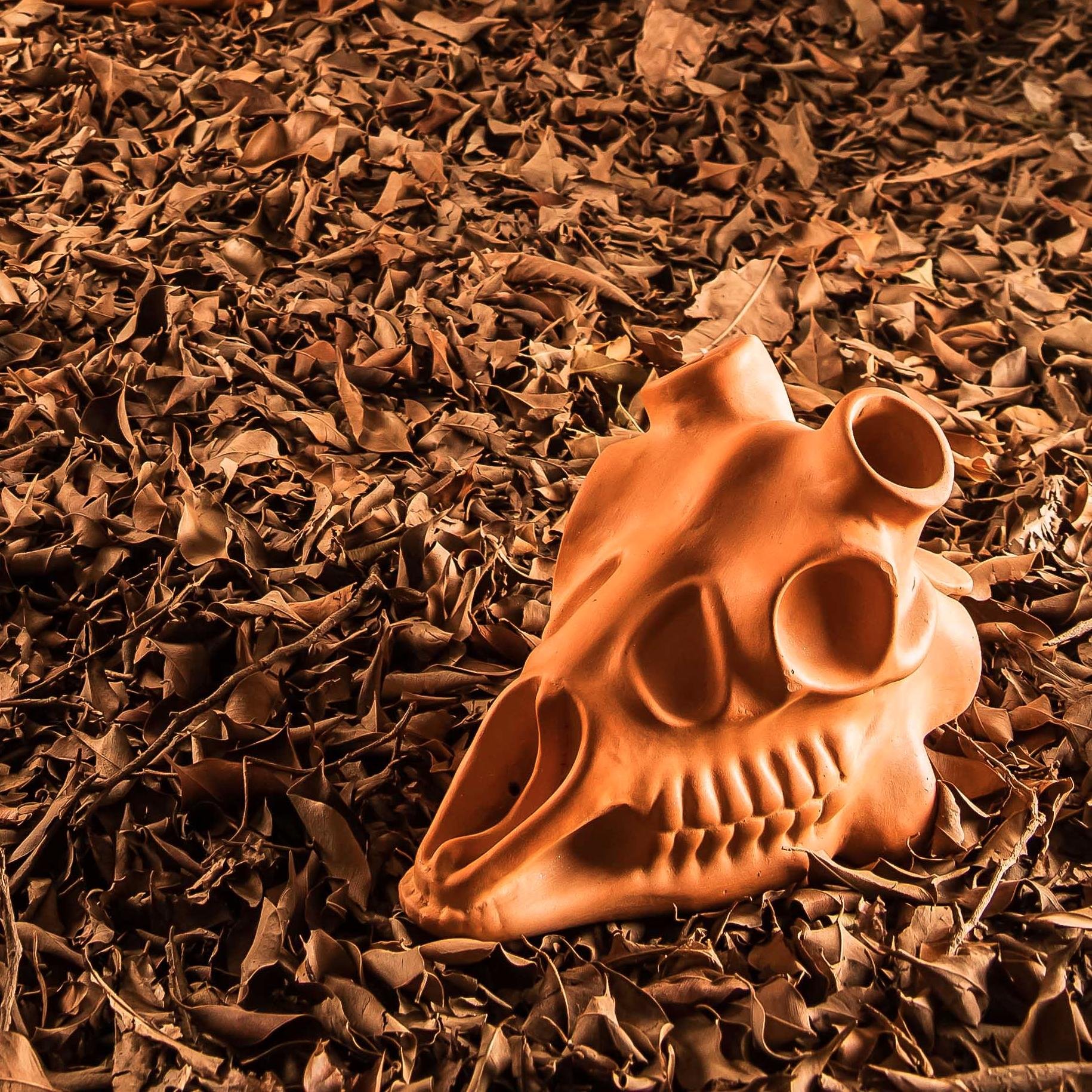 Re-culture is an interdisciplinary design studio based in Delhi.