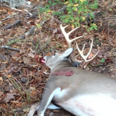 gcorley_12's profile picture. Huntin, fishin, and MGM baseball