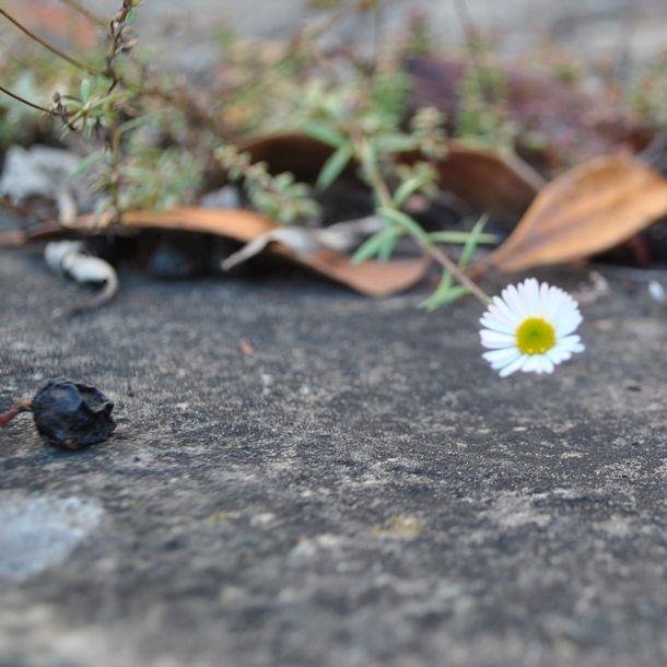 Phtgrone's profile picture. “The best thing about a picture is that it never changes, even when the people in it do.”
— Andy Warhol