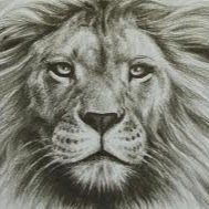 jjh14a's profile picture. 