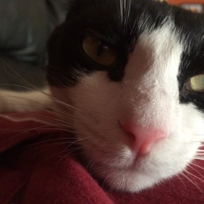 KirkOswald1's profile picture. Paramedic in Michigan