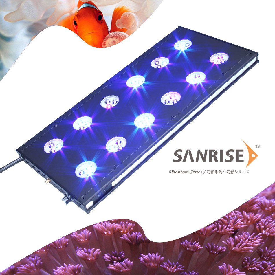 Manufacturer of professional led aquarium lighting in ShenZhen, here you can find most appropriate led light for your aquarium!
Email: info@soscigroup.com