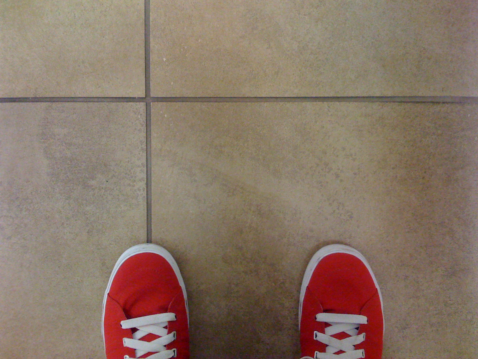 breonafay's profile picture. 