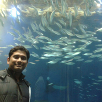 Sourav Debnath (@souravdebn) 's Twitter Profile