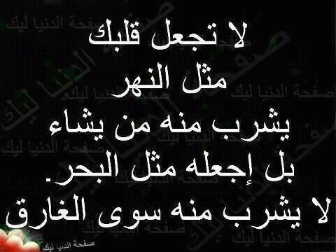 ml143511's profile picture. محب الخير