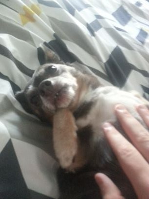 tra_tyler's profile picture. Do the impossible. You only live once,go live life:-):-):-):-) love all your face. (nohomo)