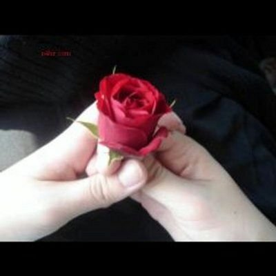 x201712's profile picture. ‏نفسي عزيزه من جفاني جفيته حتى لو يصعب على القلب فرقاه