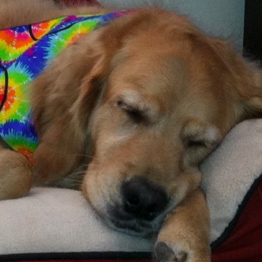 ljmooney07's profile picture. Enjoy the little things in life...for one day you'll wake up and realize that they were the big things. Dysautonomia, POTS, OI, Mito,SFN, CFS, after flu 5/8/12