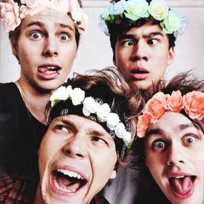 turn on notifs for when the 4 idiots are following // run by taylah (-T) and abbi (-A)
