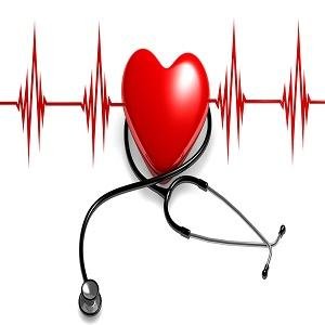 Maternalfetalhealth is a information blog on which you find information about Diseases, Diet and nutrition, Health issues, Fitness and Top 10.