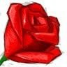 @rose
