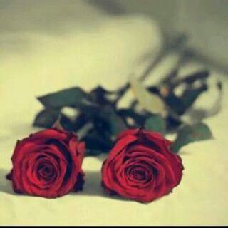 ‏‏‏‏‏‏تابعني… اتابعك..والخاص والمنشن تحت امرك .خذلك فرره بحسابي وابششررر بالباقي ..يفديت وجيهكم انا ..المدينه المنوره