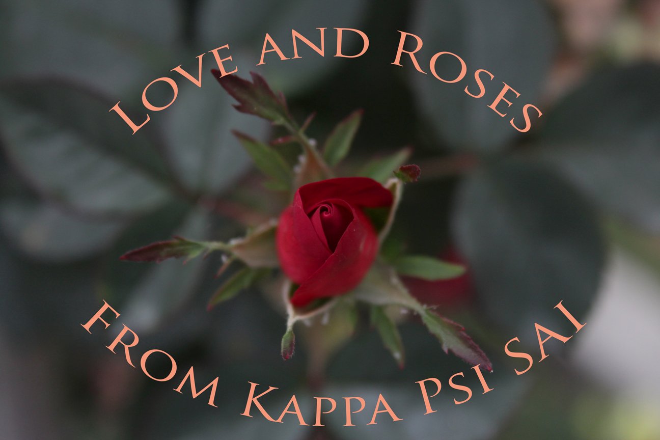 We are the sisters of the Kappa Psi chapter of Sigma Alpha Iota International Music Fraternity, established at CSU, Fresno on May 31, 2003. Love and Roses!