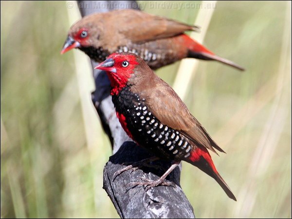 poortboy's profile picture. Husband to Theresa, Daniel & Luke's dad.