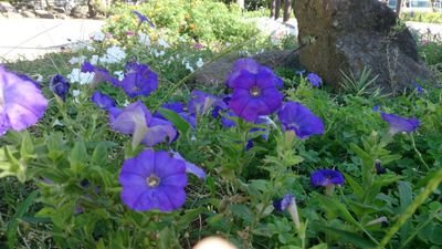 yoshiaki196640's profile picture. 気ままにツィートしてます。いいなと思った言葉や社会情勢を眺めながら、飄々と生きてます.