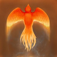 OptionsTracker (@ioptionstracker) 's Twitter Profile