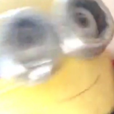 ayeo_b's profile picture. ayo b ~ song by the one and only famous perfect bey ond say