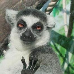 skorpk's profile picture. IT Developer.SQL Server 200-2008 developer/dba