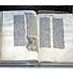 Bible love @çžäºãã©ã㌠(@bible_love_6) Twitter profile photo Bible love @çžäºãã©ã㌠(@bible_love_6) Twitter profile photo