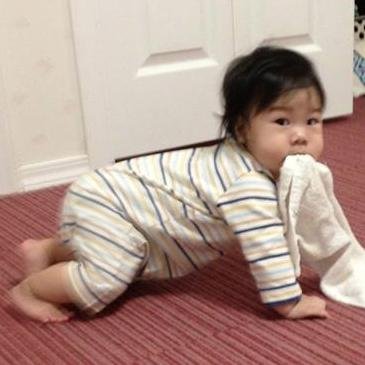 OKAMURA's profile picture. 開発系のITエンジニアで、フリーランスです。

人工知能関連の研究開発からアセンブラによる制御装置のプログラミングまで色々やりました。

いつでもお仕事募集中です。